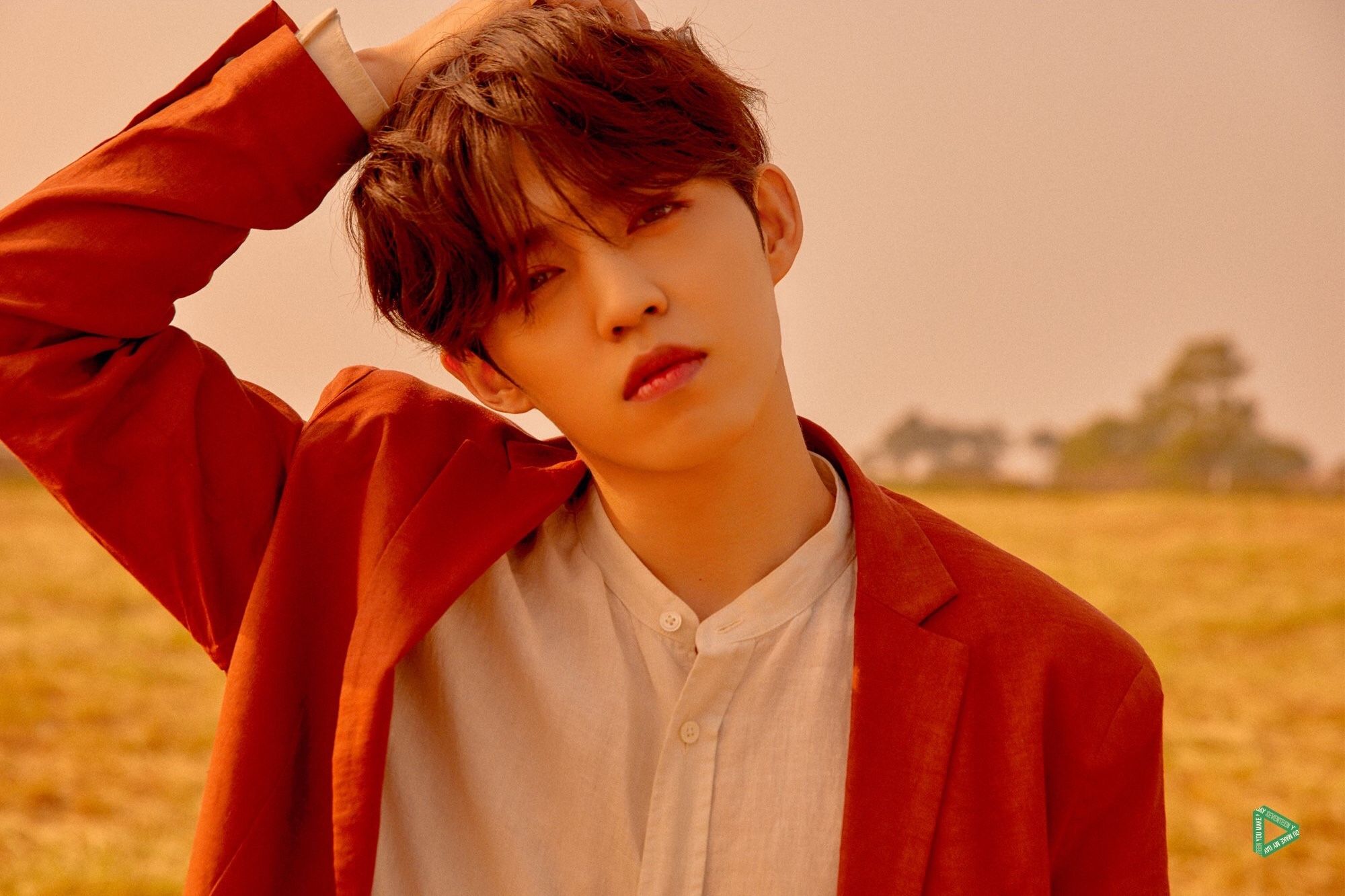 Biodata Profil Dan Fakta Lengkap Scoups Seventeen Kepoper