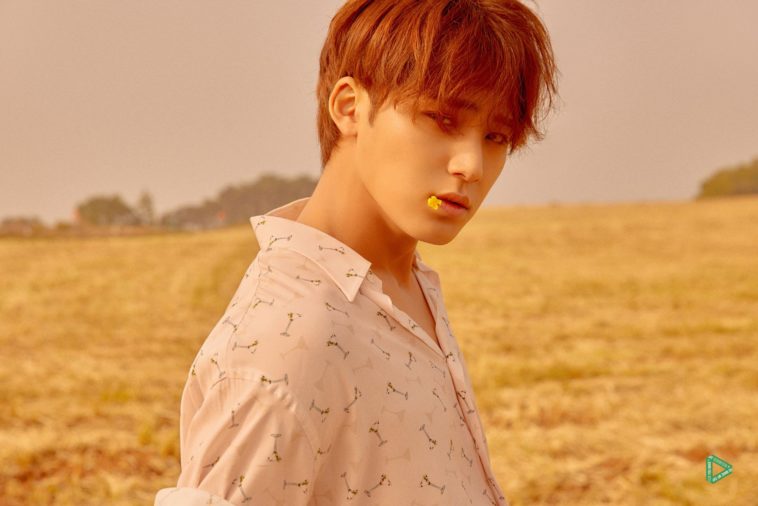 Biodata Profil Dan Fakta Lengkap Mingyu Seventeen Kepoper