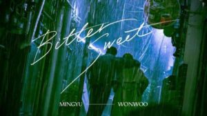 Lirik Lagu WONWOO X MINGYU Bittersweet Terjemahan - KEPOPER